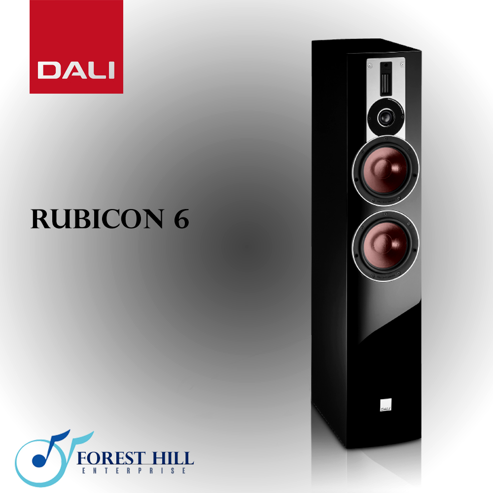DALI Rubicon 6